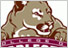 Cougars