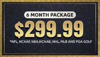 6 months package