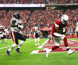 Arizona Cardinals vs. Chicago Bears | News Article by Inspin.com