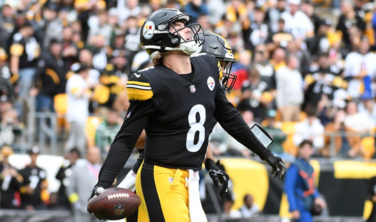 NFL Betting Trends Pittsburgh Steelers vs Tennesse Titans | Top Stories by Inspin.com